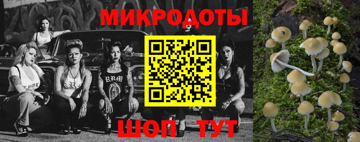  КОКАИН Луга